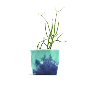 May include: A small green plant with thin stems growing in a blue and green tie-dye fabric pot.