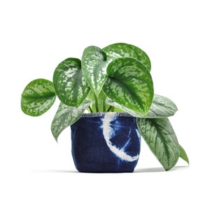 Shibori Indigo Fabric Pot, 4&quot; Size, Hand Dyed, Cotton Canvas Bucket, for Succulents, Cacti and Other Small Things