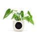 see more listings in the Fabric Planters section