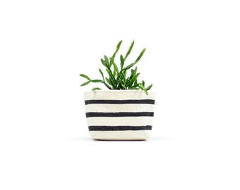 Black Stripe Canvas Planter for Succulents and Cacti, Mini Black and White Blockprint on Canvas Bucket