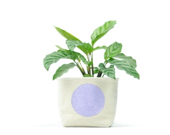 Lavender Dot Fabric Planter, Medium 4" Size, Blockprint Canvas Bucket