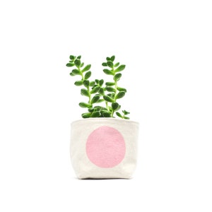 May include: A small succulent plant in a white fabric pot with a pink circle design.