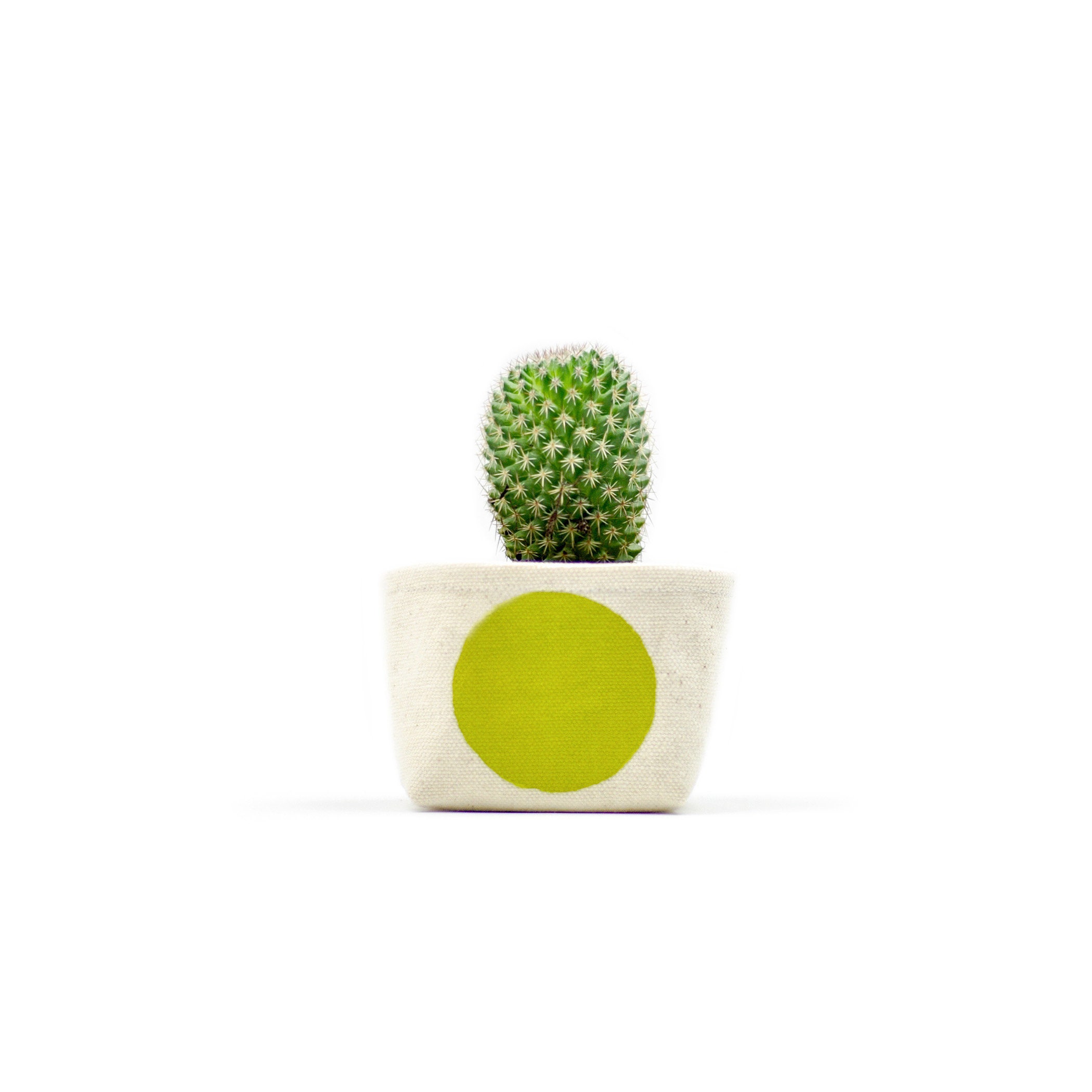 3 Chartreuse Dot Succulent Pot, Blockprint Fabric Bucket