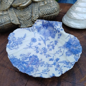 Grande coquille Saint Jacques, coupelle, objet déco vintage
