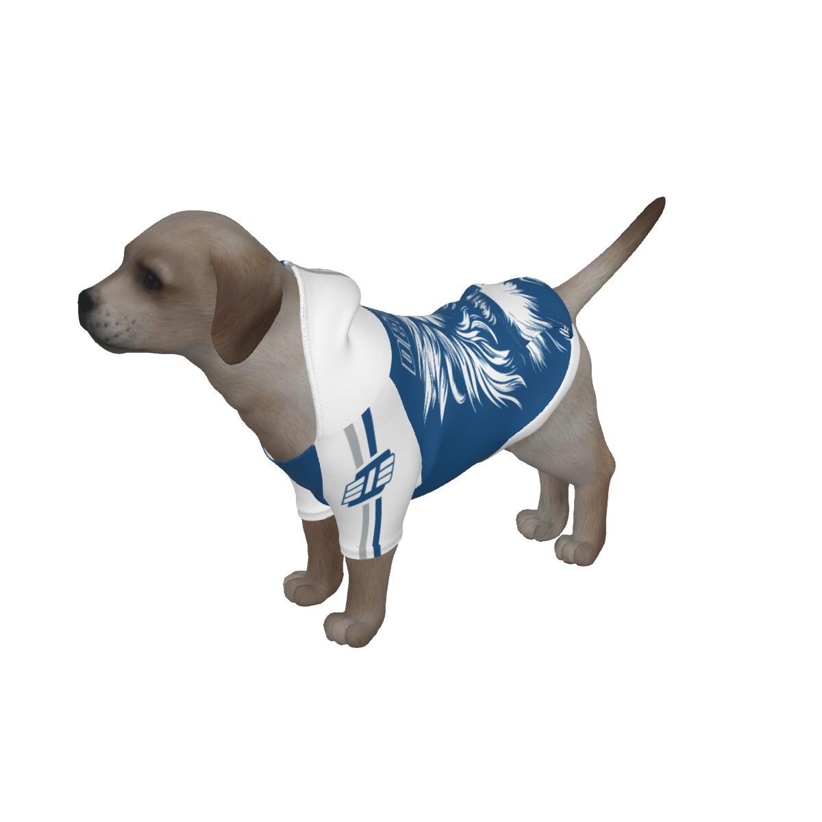 Detroit lions jersey for dog sales