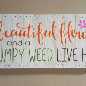A Beautiful Flower and A Grumpy Weed Live Here, 7.5