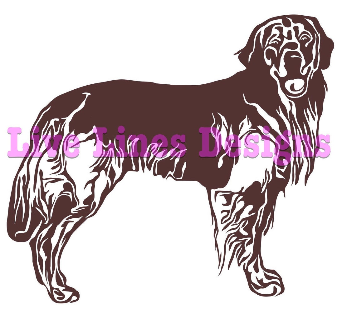 Golden Retrieverpng Lab Goldenclean Cut pet Face Etsy