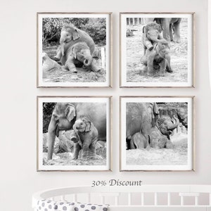 Elephant set of 4 square prints, Elephant family photography print set 10 x 10, Safari Wildlife gallery 8 x 8 , Baby animal square pictures image 1