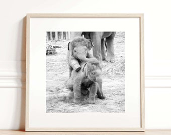 Cute elephant photo print, Wildlife photography square print, Childs bedroom decor 8 x 8, Nursery wall art prints, Baby shower gift