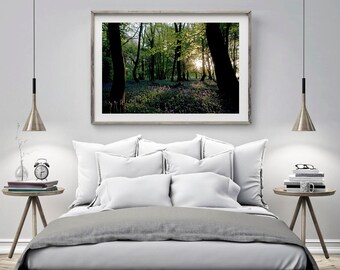 Bluebell Woodland photography, Woodland sunset, Spring photography, Trees Landscape photo, Rustic Nature wall decor UK, 12 x 8, 15 x 10