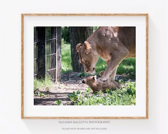 Impresión artística de cachorro de león, decoración infantil en blanco y negro, fotografía original de vida silvestre.