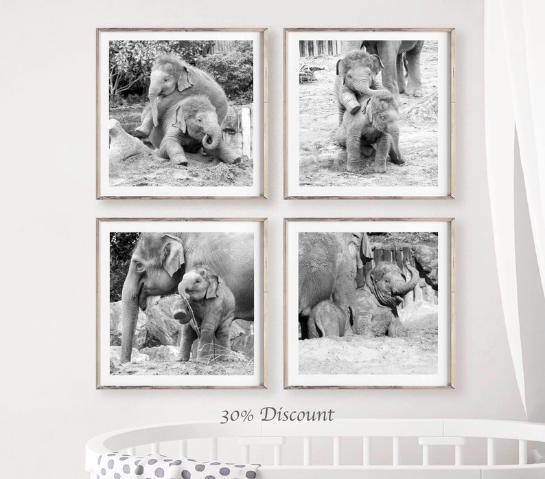 Elephant set of 4 square prints, Elephant family photography print set 10 x 10, Safari Wildlife gallery 8 x 8 , Baby animal square pictures image 1