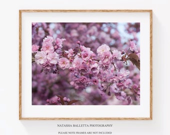 Pink cherry blossom fine art print, Pink wall decor flower photography 16 x 12, Floral photos 8 x 12 Inspirational quotes, Bedroom wall art