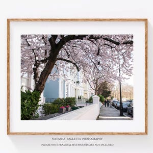 London street photography, Cherry blossom print, Spring gallery wall decor, Urban UK original prints, Home decor, England travel photo