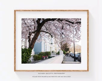 London Cherry Blossom Print, Urban Photography, Springtime in London, UK Wall Art