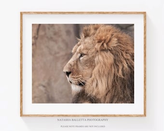 Lion Printable Wall Art Bedroom Art, Nursery animal print Digital Download, Kids Room Poster, Boys Room Wildlife, Safari Animal Photography