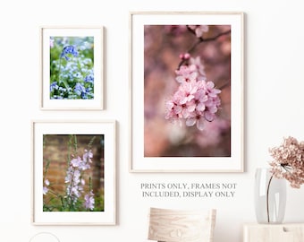 Floral wall art prints, Set of 3 spring flower prints, Flower photography, Cherry blossom print, Floral wall art, Gallery wall art 8 x 10