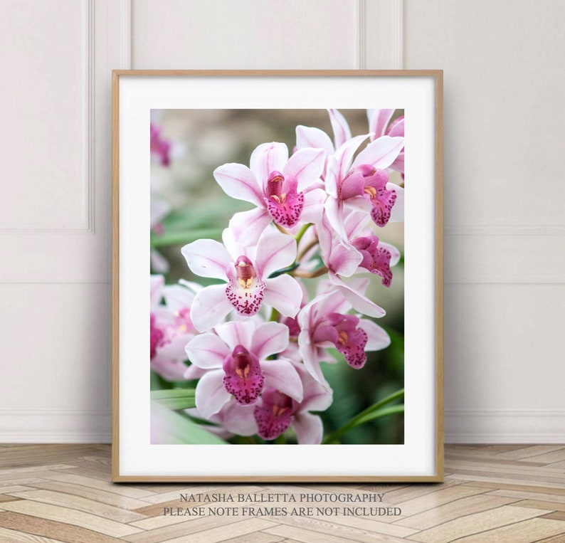 Pink Orchid Flower Photography Print, Nature Pink wall art, Floral Decor, Bedroom gallery wall, shabby chic prints, Airbnb pictures A4 A3 image 1