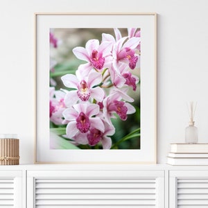 Pink Orchid Flower Photography Print, Nature Pink wall art, Floral Decor, Bedroom gallery wall, shabby chic prints, Airbnb pictures A4 A3 image 6