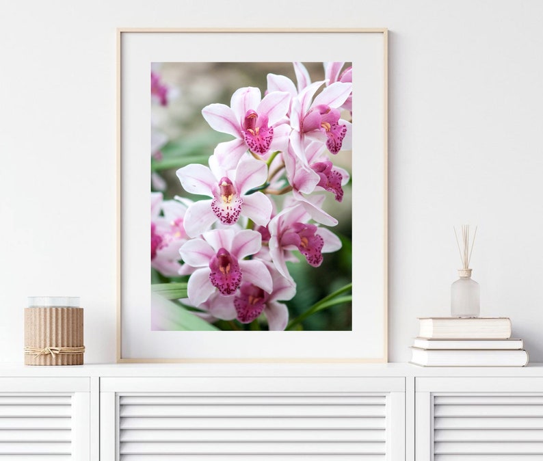 Pink Orchid Flower Photography Print, Nature Pink wall art, Floral Decor, Bedroom gallery wall, shabby chic prints, Airbnb pictures A4 A3 image 6