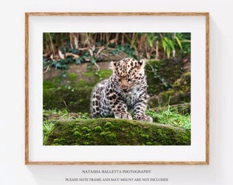 Impresión fotográfica de cachorro de leopardo, fotografía de animales bebés para habitación de niños, arte de pared para dormitorio de niños, decoración de pared de galería de vida salvaje, impresión original para guardería