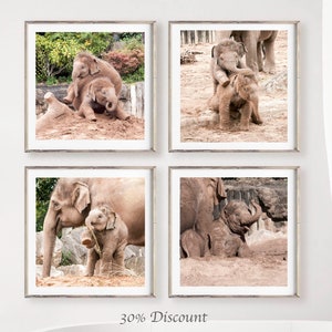 Elephant set of 4 square prints, Elephant family photography print set 10 x 10, Safari Wildlife gallery 8 x 8 , Baby animal square pictures image 6