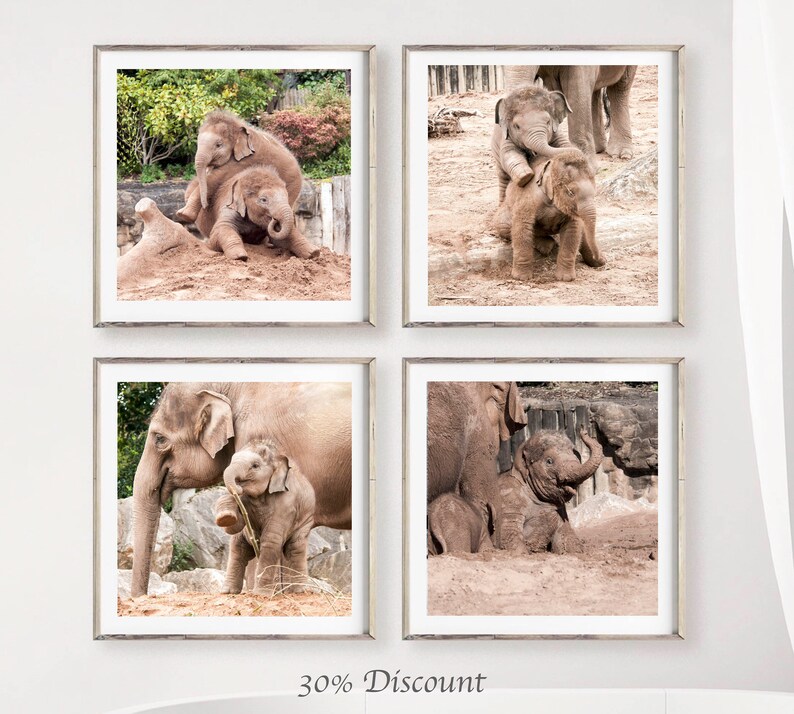 Elephant set of 4 square prints, Elephant family photography print set 10 x 10, Safari Wildlife gallery 8 x 8 , Baby animal square pictures image 6