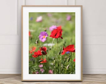 Red poppy flower photography print, Floral decor A4, Bedroom gallery wall 8 x 10, Botanical nature wall art 16 x 12, Home decor Airbnb A3,