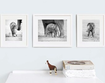 Baby elephant print set of 3, Nursery animal decor 8 x 10, Boys room wall art, Kids playroom room decor, Original wildlife photography