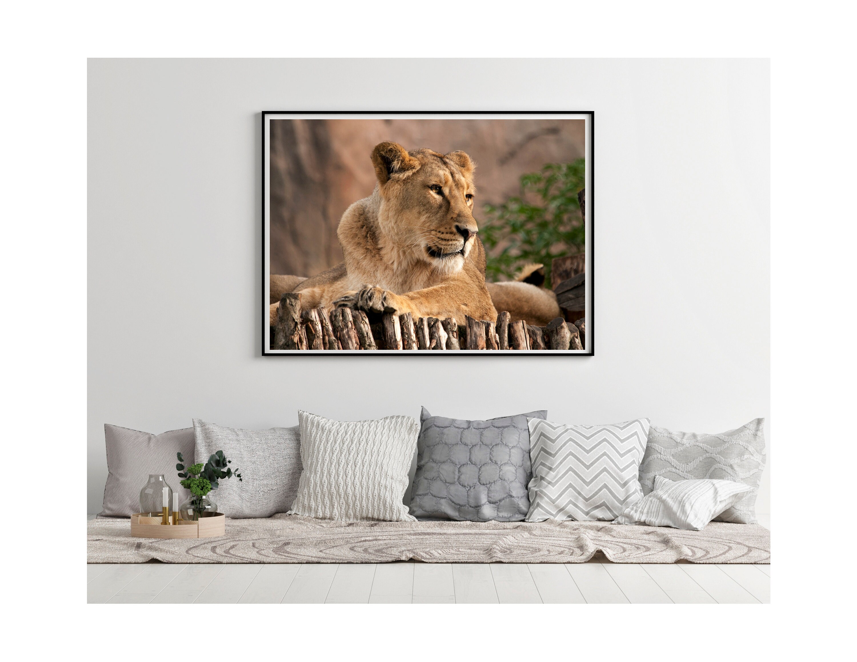 Lioness Printable Wall Art African Animal Print Digital - Etsy