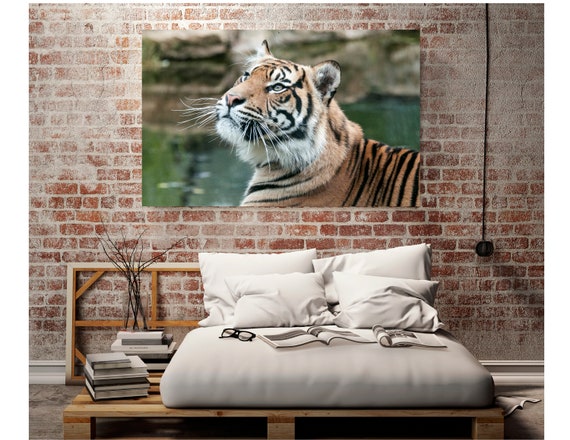 Tiger Photography Prints Boys Nursery Safari Decor Kids Room Large Tiger Poster Living Room Wildlife Pictures Big Cat Photography Gift
