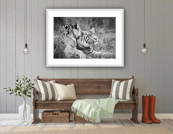 Tiger Photography Fine Art Print Black And White Wall Decor Pictures Wildlife Bedroom Decor Tiger Poster Large Prints Horizontal 14 X 11