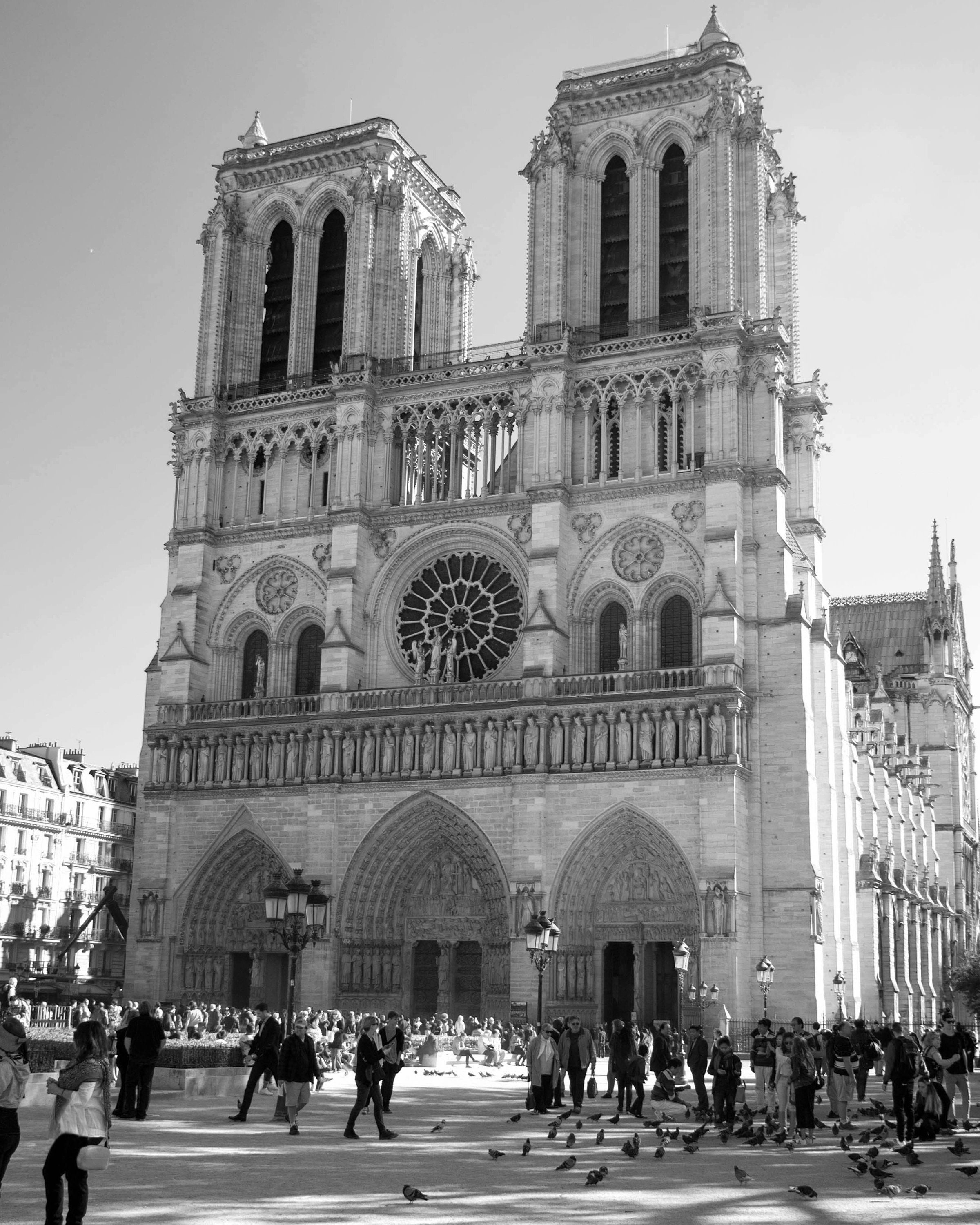 Notre Dame Cathedral Print, Original Paris Photograhy Black and White 8 X  10, Europe Photos, Paris Architecture 12 X 16 Travel Print France - Etsy