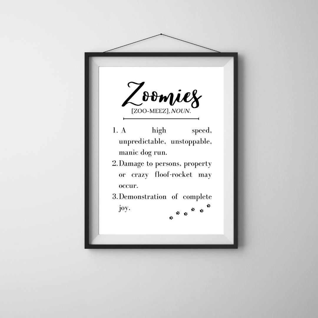 Zoomies Printable DIGITAL DOWNLOAD Funny Pet Cute Dog Quirky Dog Farmhouse Minimalist Home Decor