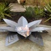 see more listings in the Lotus Fire Art section