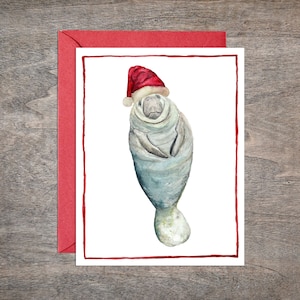 Manatee Christmas Card Set // Set of 8 Holiday cards