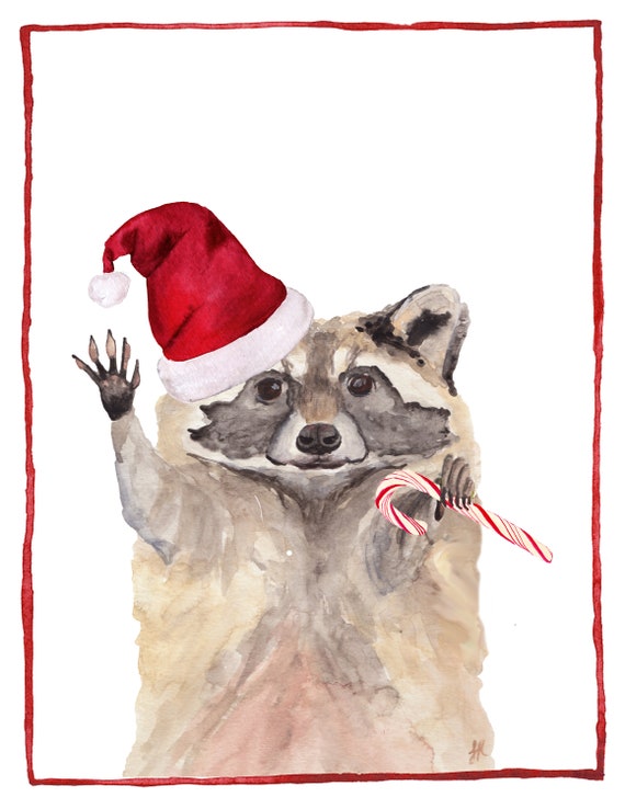 Raccoon Kits | 8 Card Set Raccoon Kits | 8 Card Set
