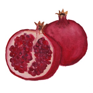 Pomegranate Watercolor Painting art print image 2