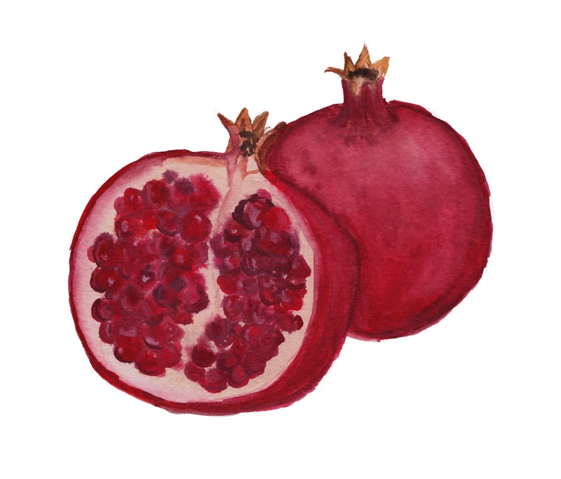 Pomegranate Watercolor Painting art print image 2