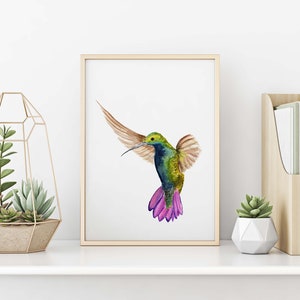 Hummingbird Watercolor Painting - art print