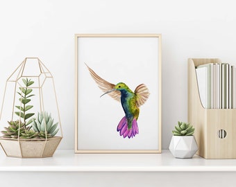 Hummingbird Watercolor Painting - art print