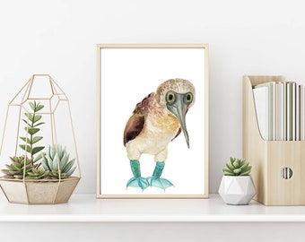 Blue Footed Boobie Watercolor Painting - art print