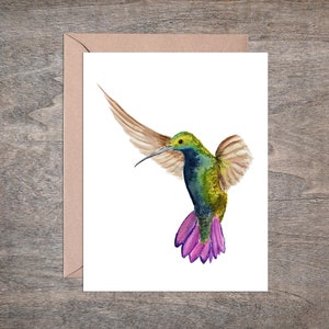 Hummingbird Greeting Card Set of 8 Cards // Bird Notecard