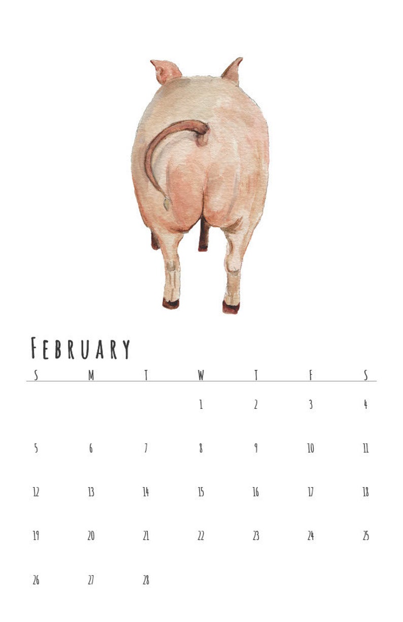 2023 Wall Calendar // Funny Animal Butts Calendar // Desk Etsy