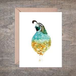 Quail Bird Note Card Set Aquarell (8 Karten) // Notecards