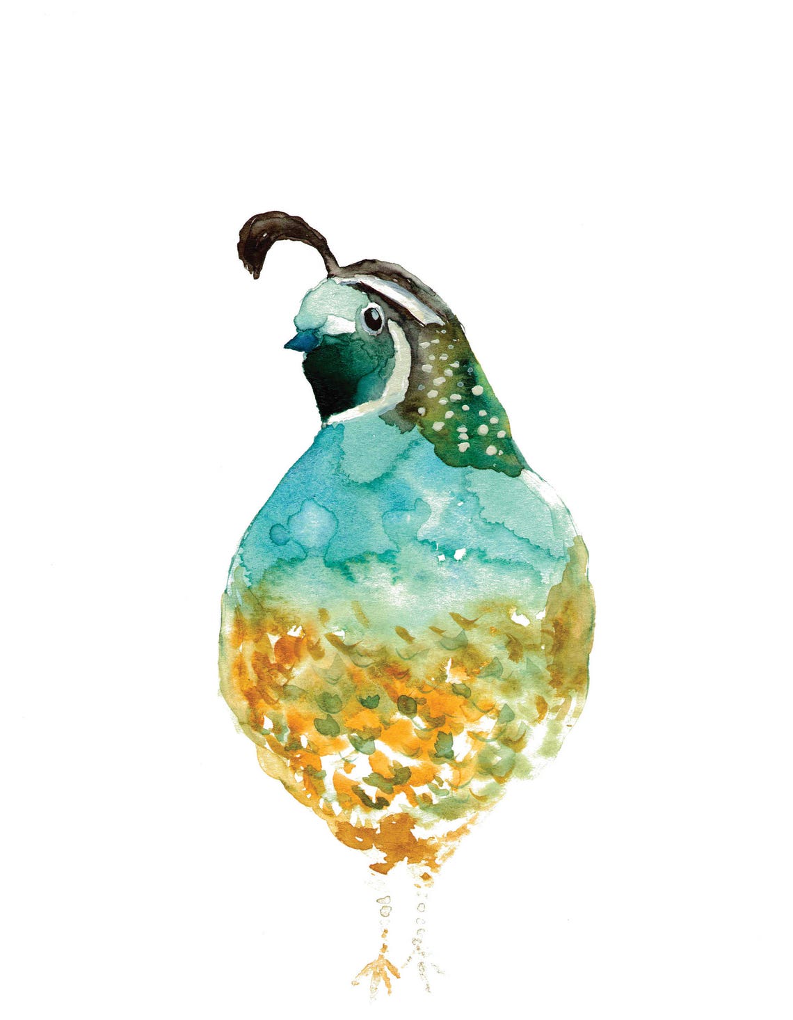 Quail Watercolor Painting Art Print - Etsy