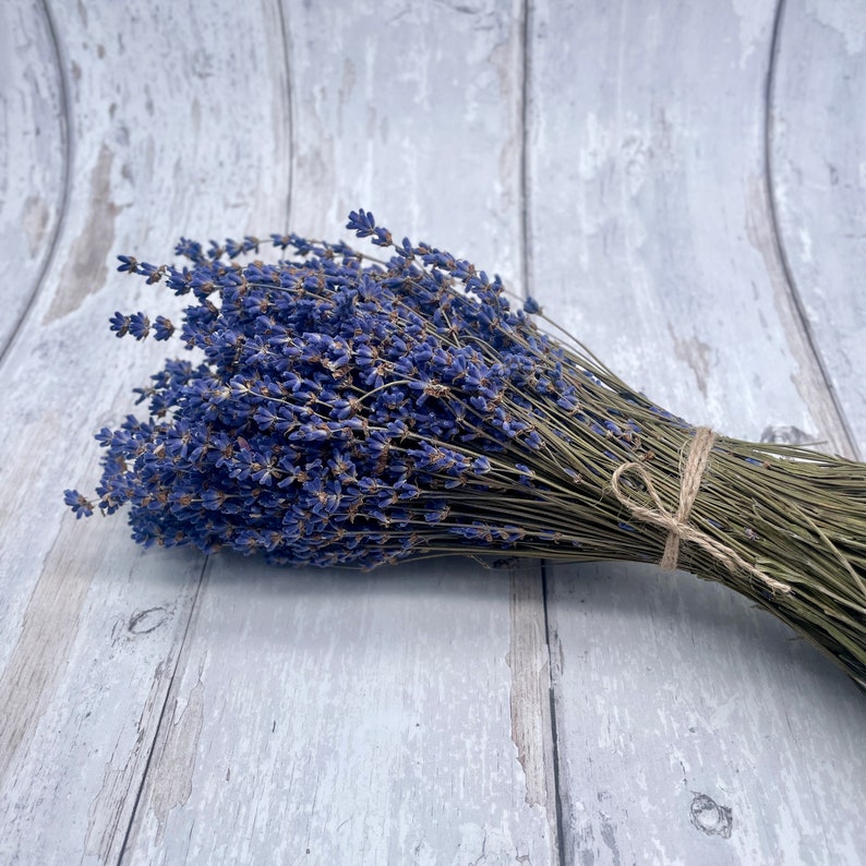 British Natural Dried Lavender Bunch DARK BLUE Fragrant English 150 Stems UK image 3