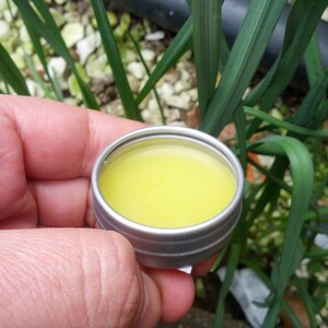 PATCHOULI Handmade Solid Perfume 10gm Round Container by Salvatore Tripi Italian Recipe image 2