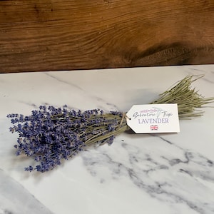 Dried Natural BRITISH English Lavender Bunch Fragrant Tied Stem Bouquet UK Scent