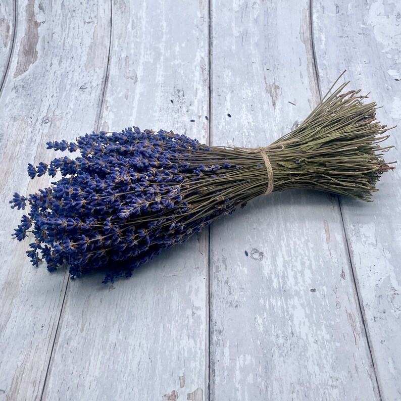 British Natural Dried Lavender Bunch DARK BLUE Fragrant English 150 Stems UK image 1